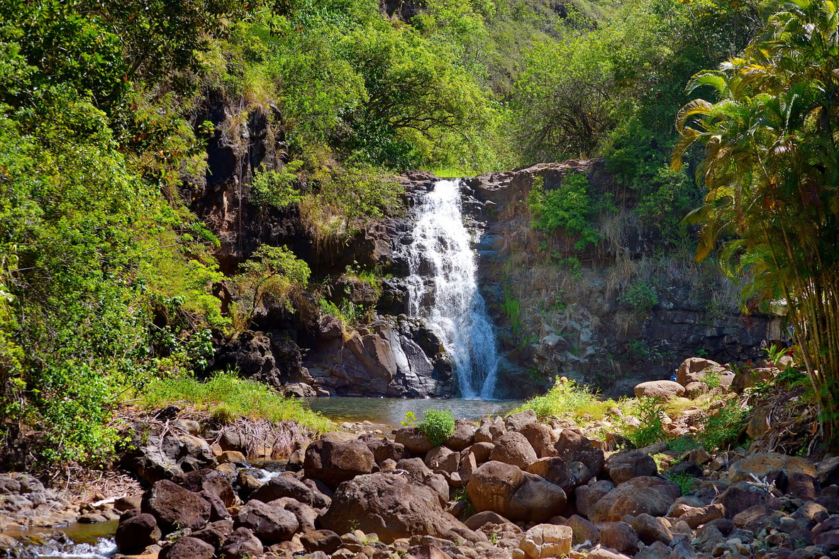 Beautiful Waterfall in Waimea Valley on Oahu