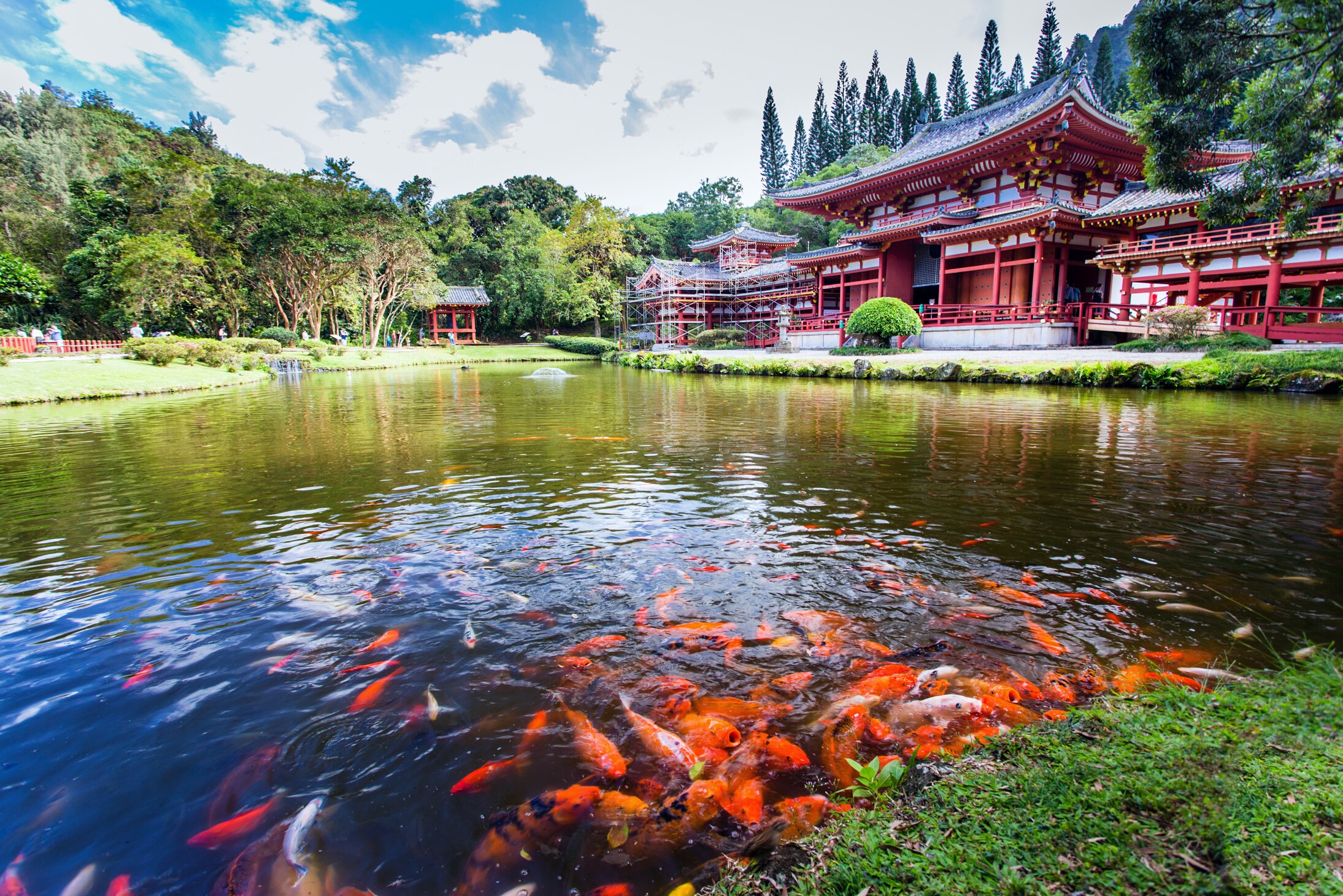 Byodo-in Temple 