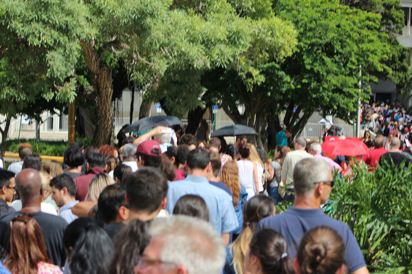 photo of a crowd and long lines